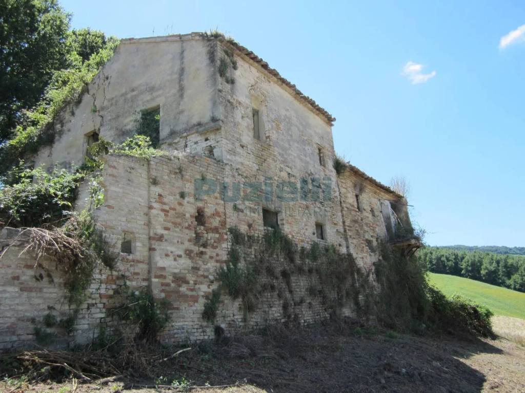 Rustico / casale a Fermo in Sp 206 S.N.C. - Foto 4