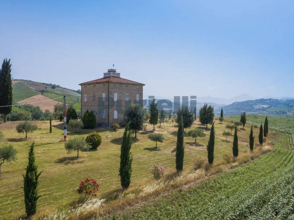 immagine di copertina