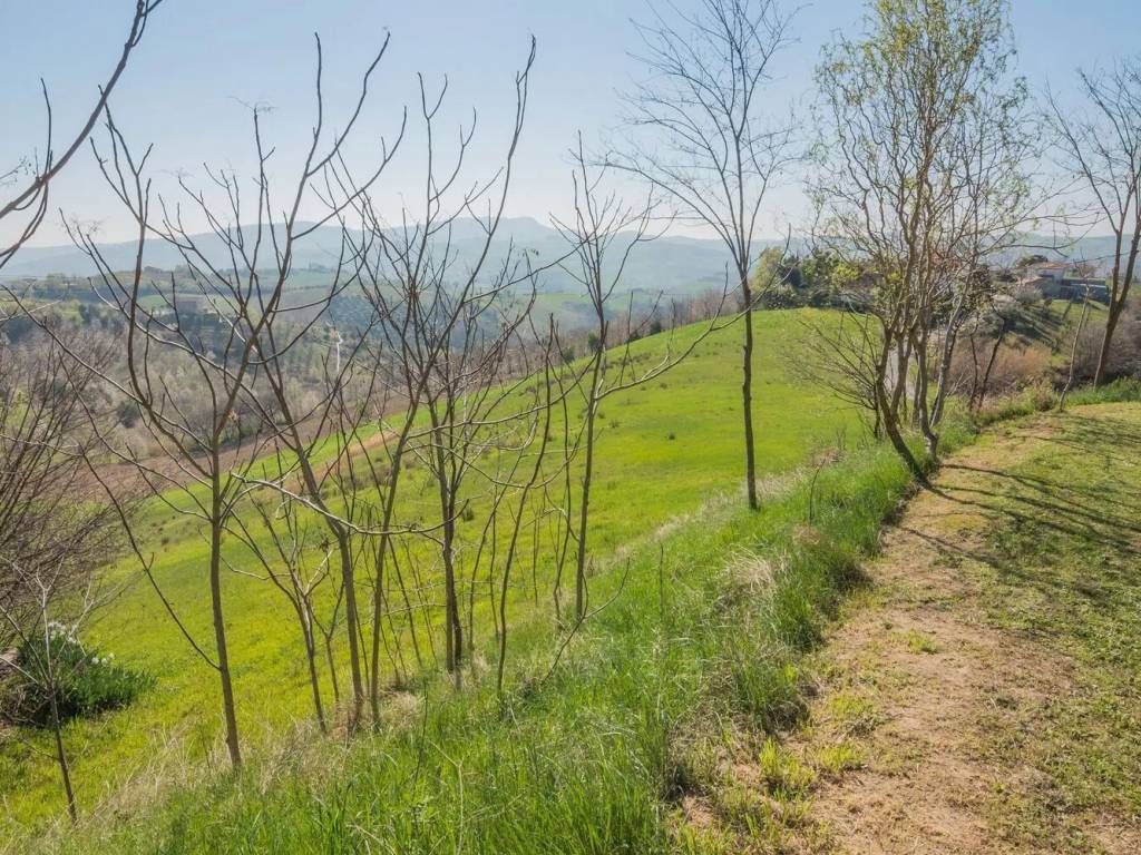 Rustico / casale a Carassai in Strada Provinciale 58 - Foto 4