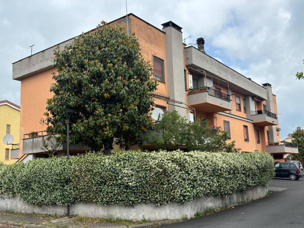 Appartamento a Tuscania in Via Ippolito Cortellessa - Foto 2