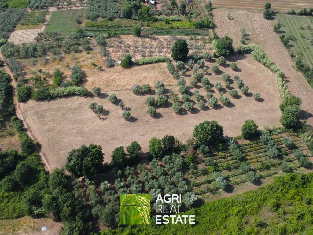 Terreno a Priverno in Via Fontana del Noce - Foto 2