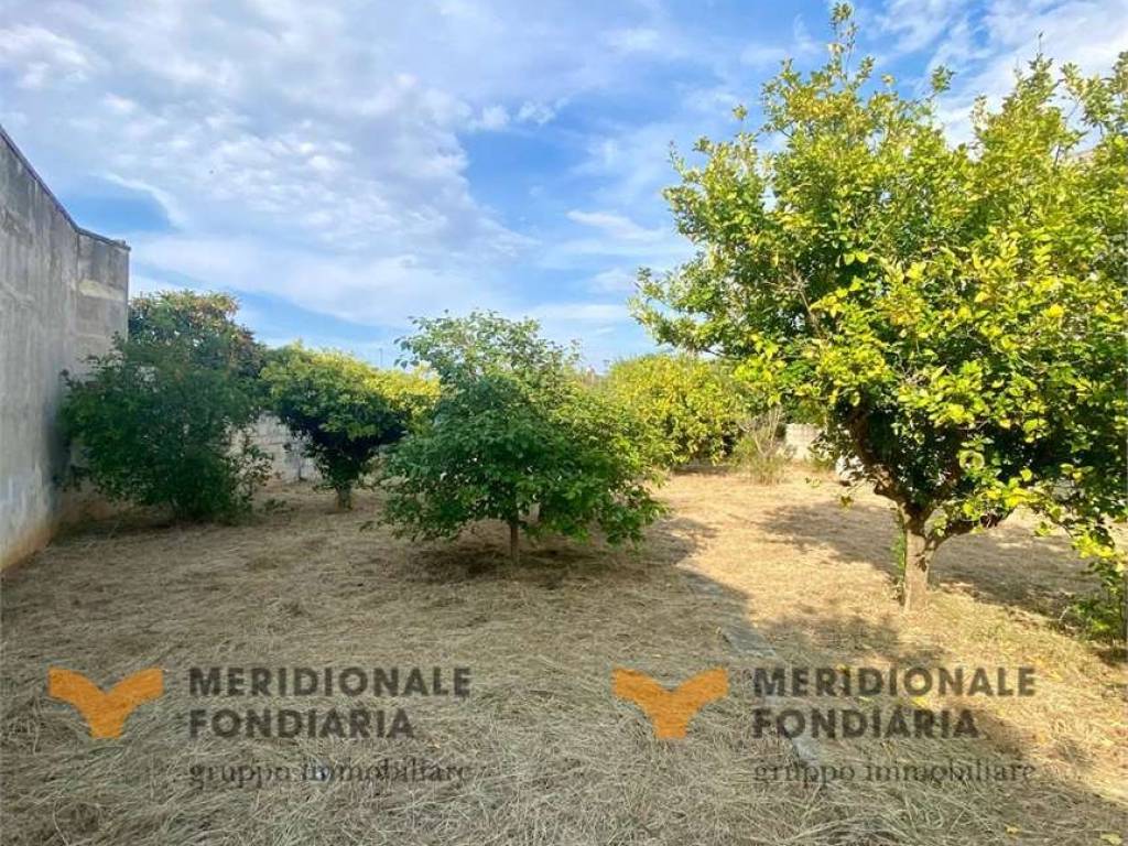 Terreno a San donato di lecce in Via Provinciale - Foto 2