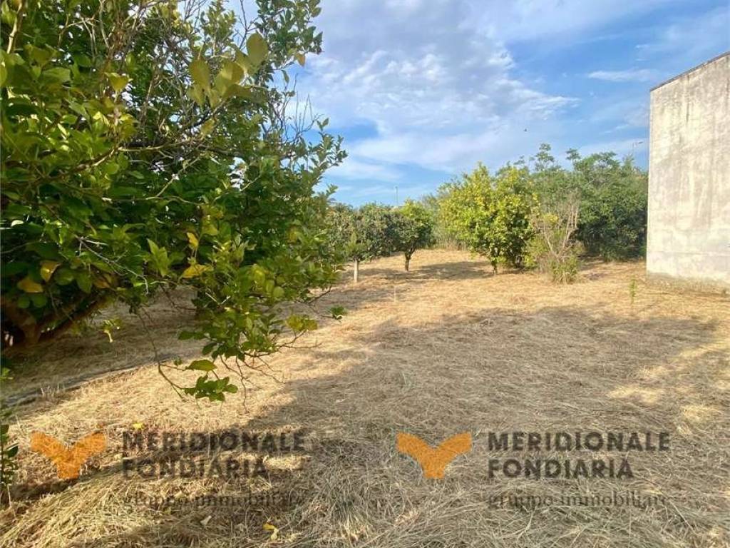 Terreno a San donato di lecce in Via Provinciale - Foto 3