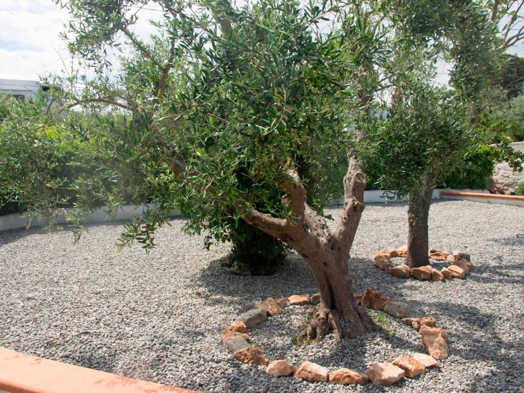 Villa a Martina franca in Via Pergolo, 37 - Foto 4