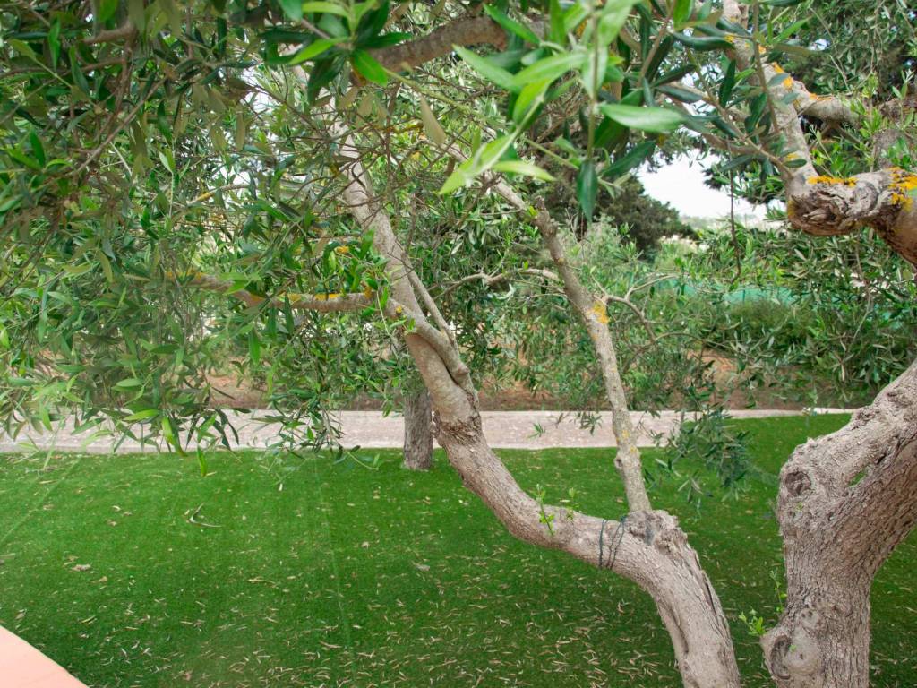 Villa a Martina franca in Via Pergolo, 37 - Foto 5