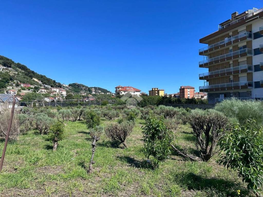 Terreno a Camporosso in Via XXV Aprile, 43 - Foto 2