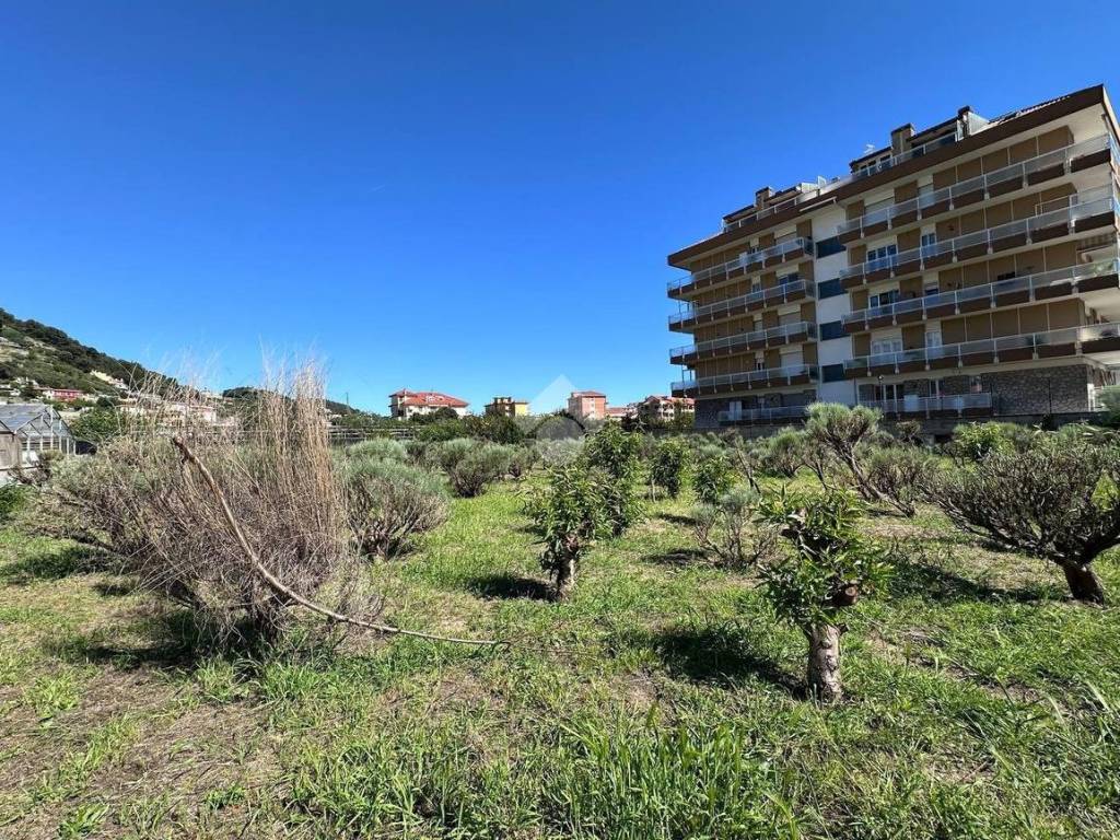 Terreno a Camporosso in Via XXV Aprile, 43 - Foto 4