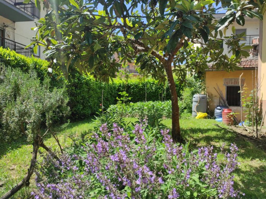 Casa indipendente a Carsoli in Via Aquila - Foto 2