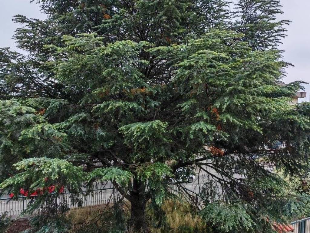 Casa indipendente a Lamezia terme in Via guglielmo marconi - Foto 5