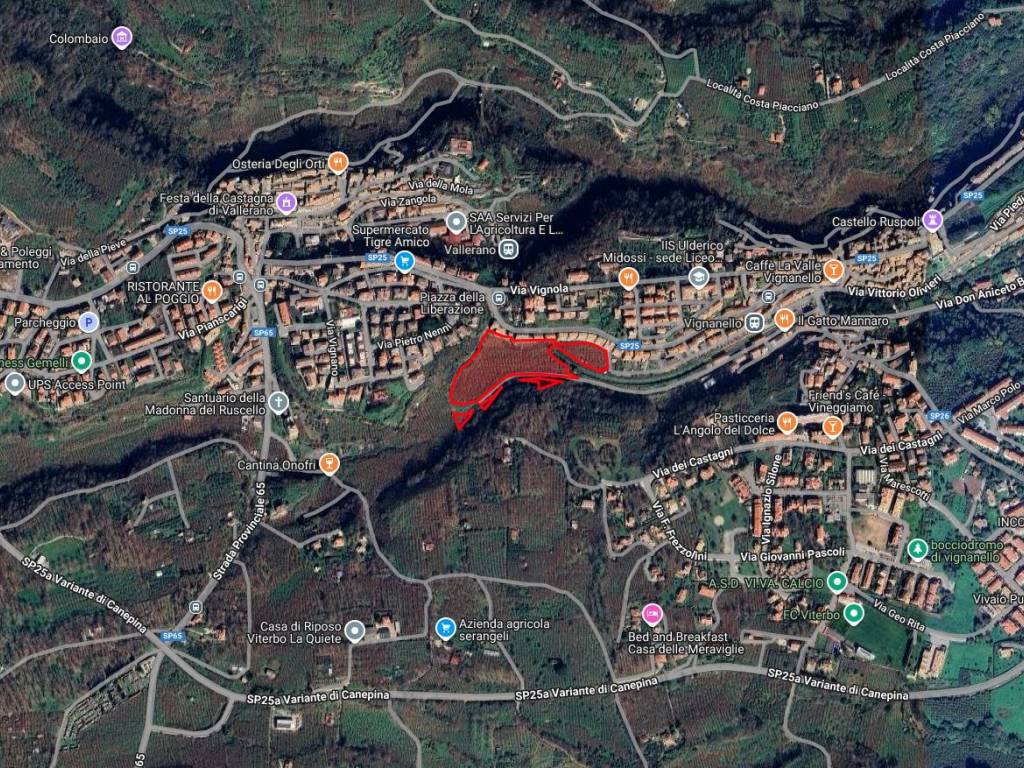 Terreno a Vignanello in Via San Rocco, 113 - Foto 2