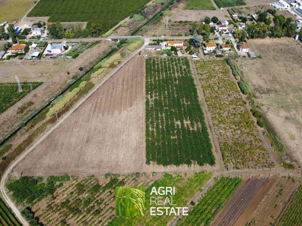 Terreno a Latina in Strada Campovivo, 751 - Foto 5