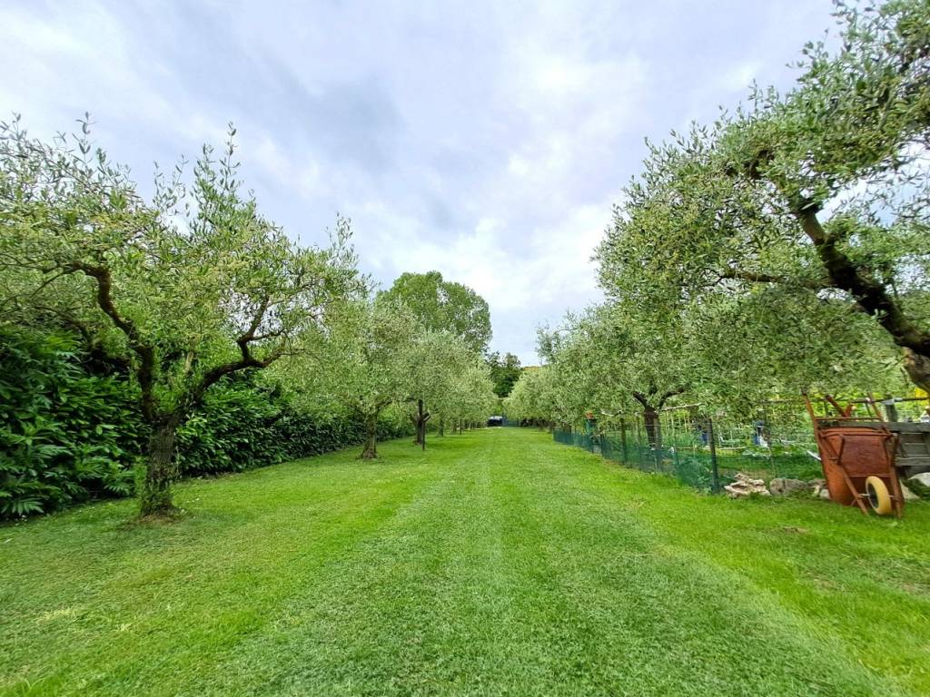 Terreno a Passignano sul trasimeno - Foto 4