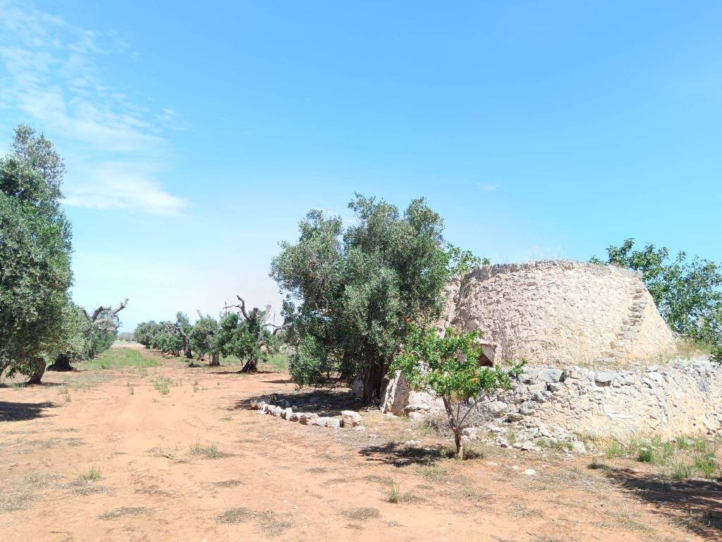 Terreno a Galatina in Contrada San Giovanni - Foto 3