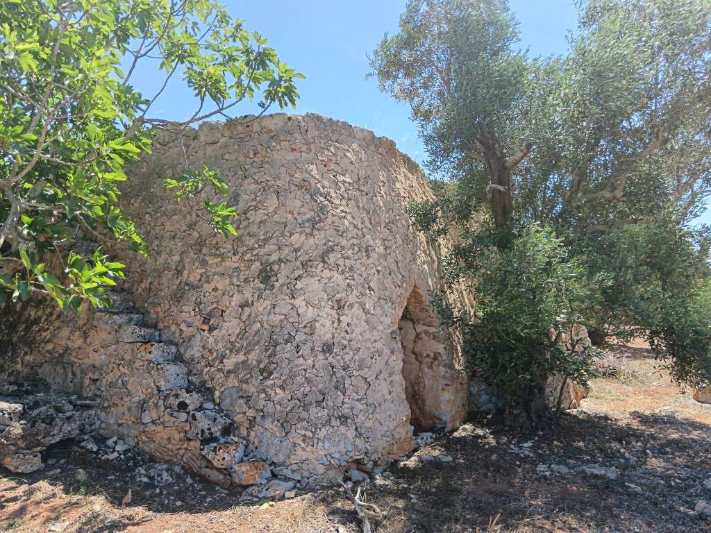 Terreno a Galatina in Contrada San Giovanni - Foto 4
