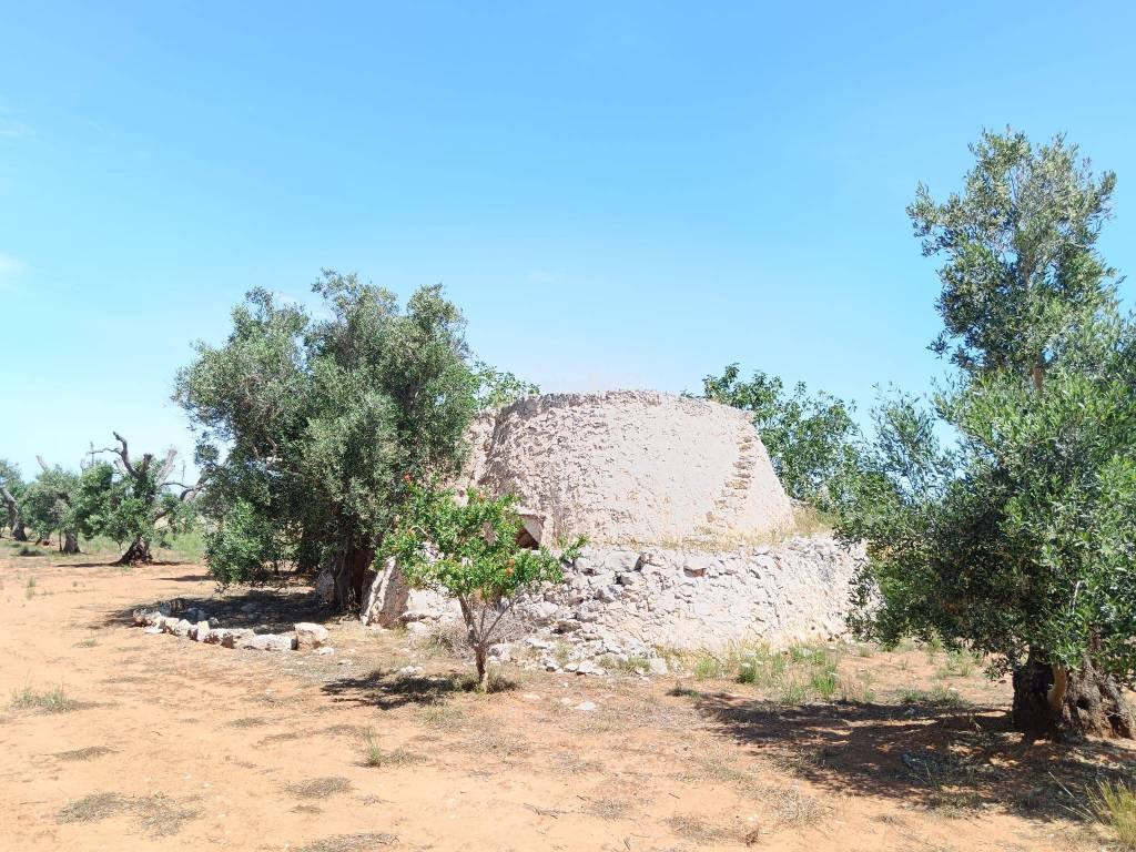 Terreno a Galatina in Contrada San Giovanni - Foto 5