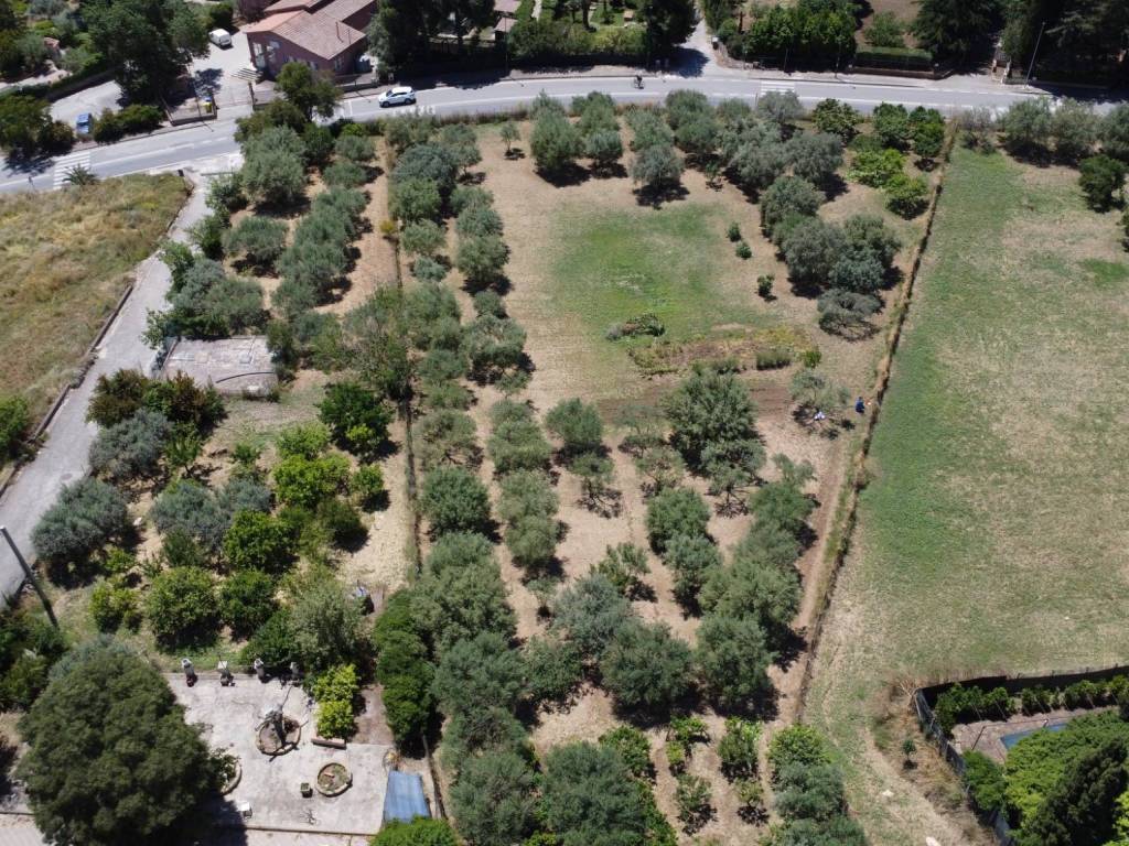 Terreno a Caltanissetta in Contrada Bagno - Foto 2