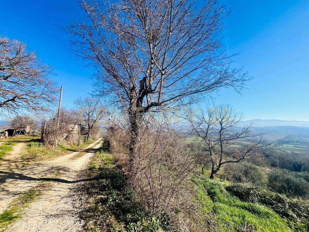 Villa a Cinigiano in località podere pelacane - Foto 2