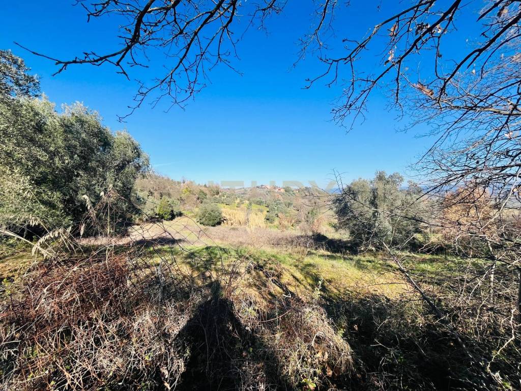 Villa a Cinigiano in località podere pelacane - Foto 5