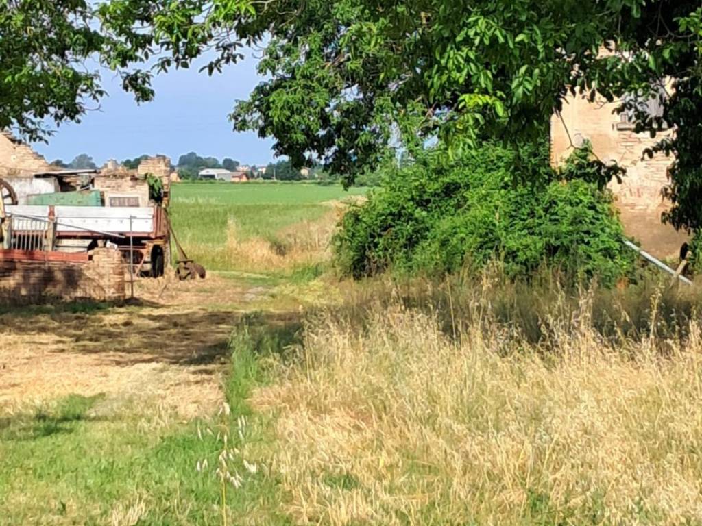 Rustico / casale a Cadelbosco di sopra - Foto 2