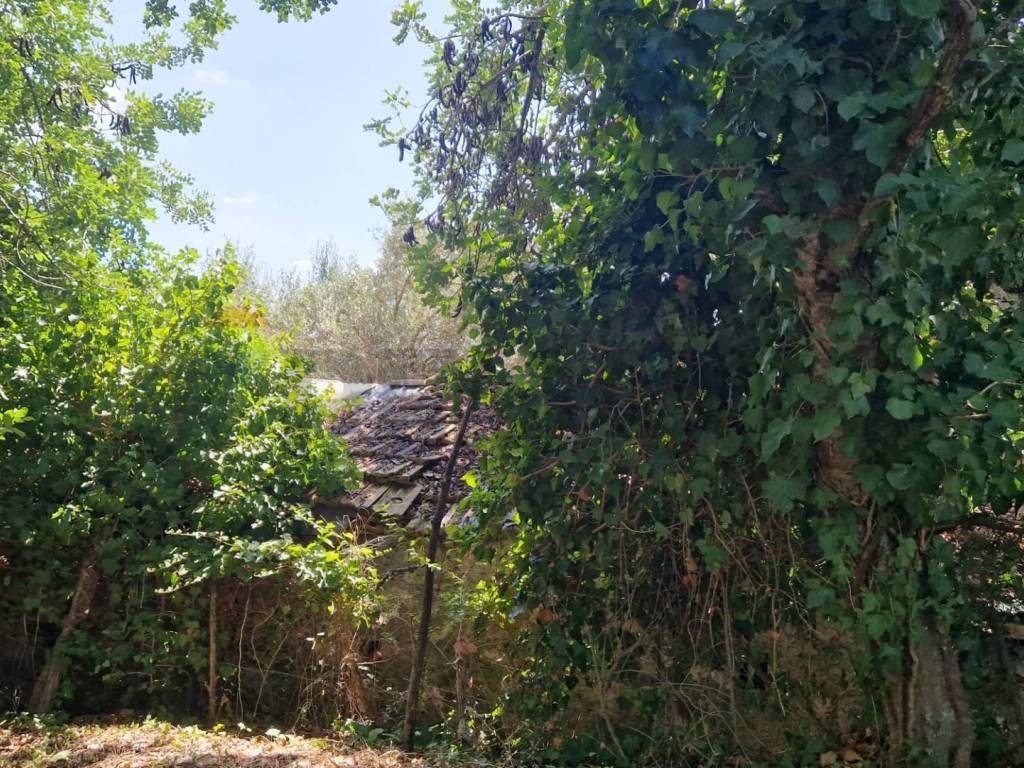 Terreno a Minturno in Tre Cipolle - Foto 2