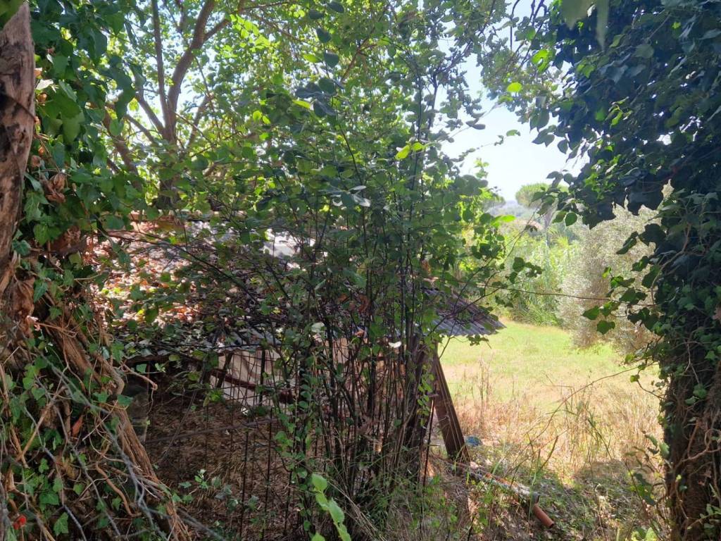 Terreno a Minturno in Tre Cipolle - Foto 3