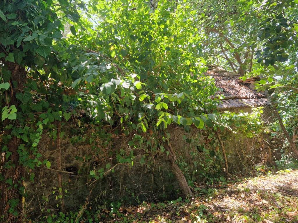 Terreno a Minturno in Tre Cipolle - Foto 4