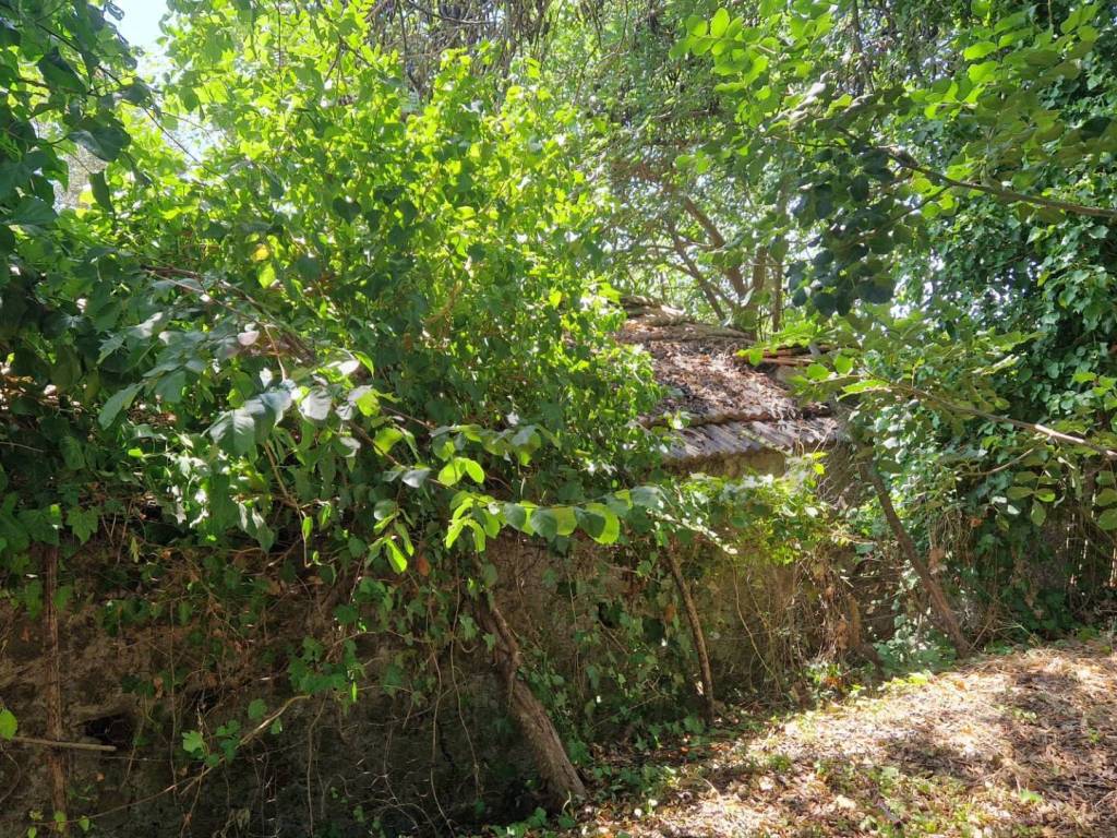 Terreno a Minturno in Tre Cipolle - Foto 5