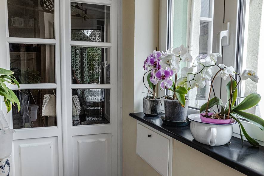 Appartamento a Lavagna in Via Alessandro Manzoni, 3 - Foto 5