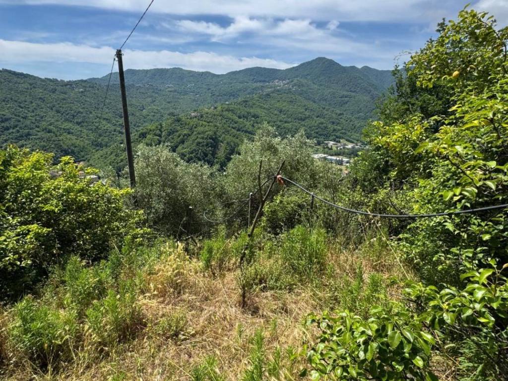 Terreno a San colombano certenoli in Via Giovanni Cademartori - Foto 4