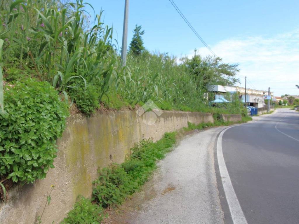 Terreno a Cepagatti in Via Pignatelli - Foto 2