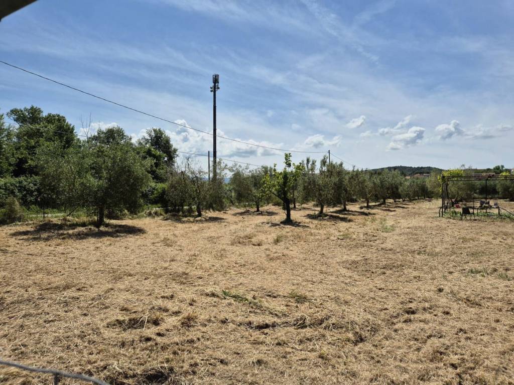 Terreno a Campagnatico in strada delle conce, 50 - Foto 2