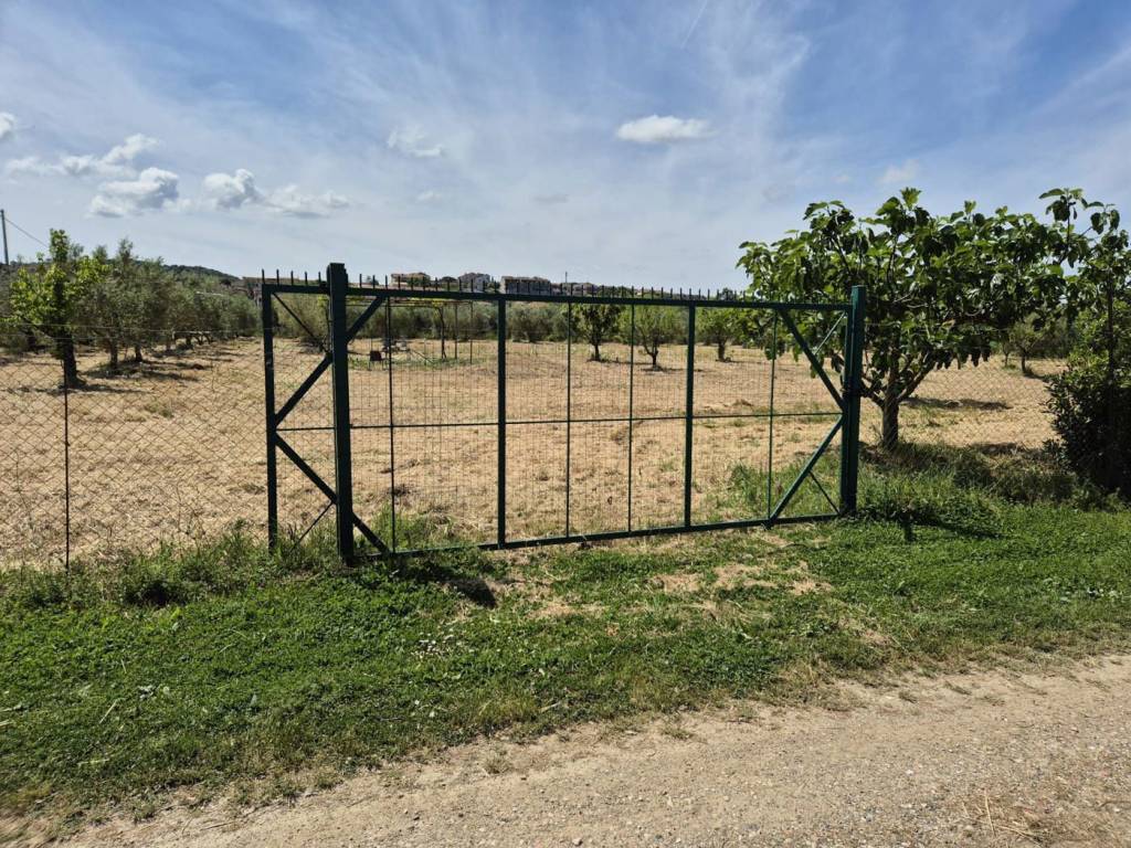 Terreno a Campagnatico in strada delle conce, 50 - Foto 3