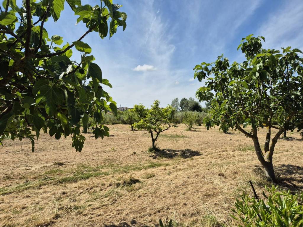 Terreno a Campagnatico in strada delle conce, 50 - Foto 4