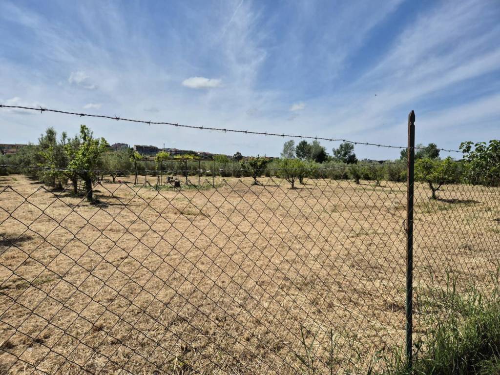 Terreno a Campagnatico in strada delle conce, 50 - Foto 5