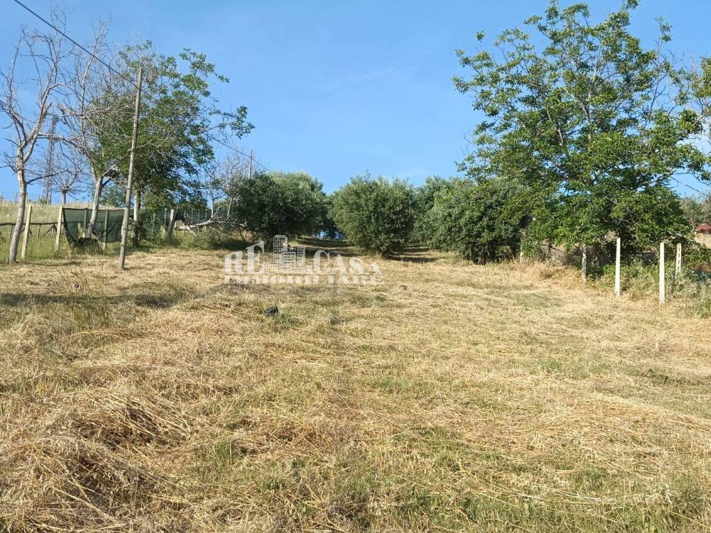Terreno a Monteprandone in contrada spiagge - Foto 4