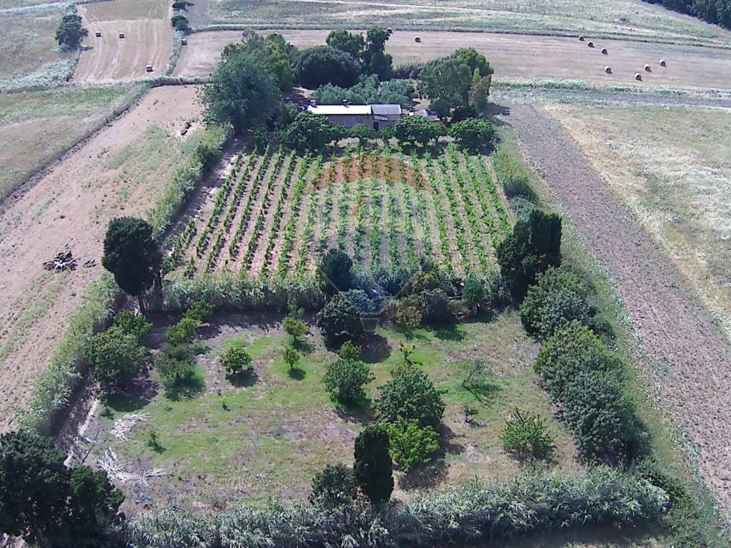 Terreno a Gonnosfanadiga in Località SA GUARDIA DE SEDDORI - Foto 2