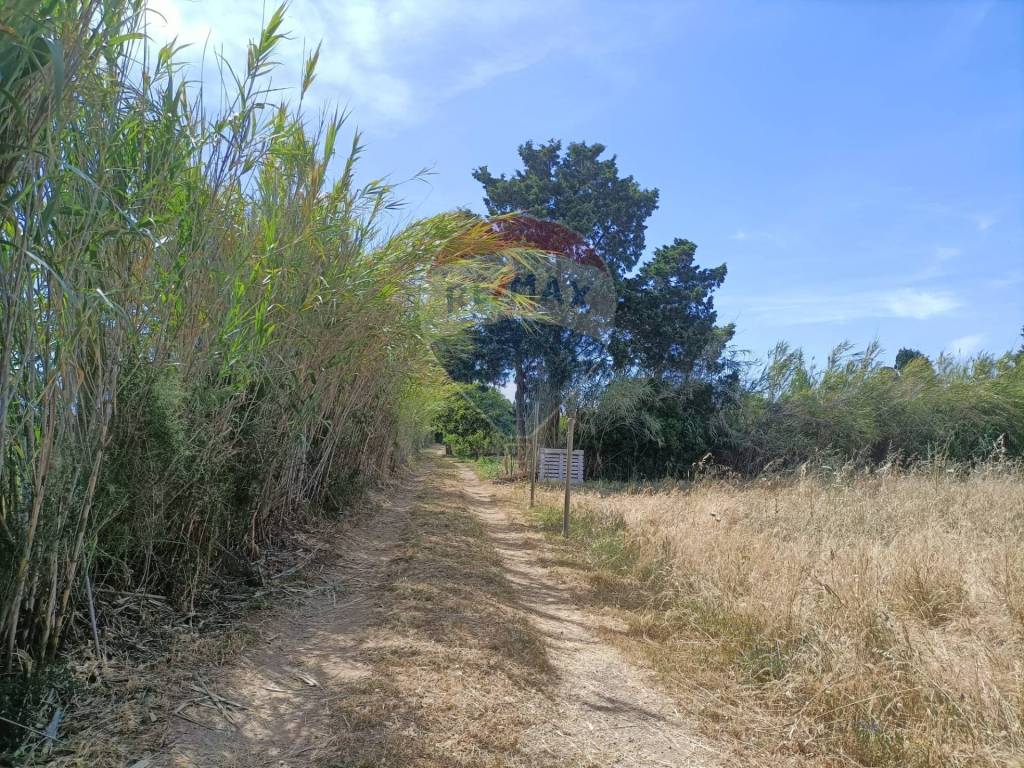 Terreno a Gonnosfanadiga in Località SA GUARDIA DE SEDDORI - Foto 5