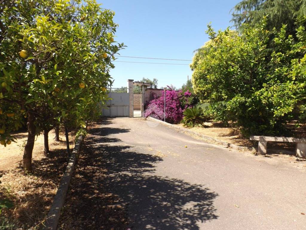 Villa a Bisceglie in STRADA DEL CARRO, 34 - Foto 4