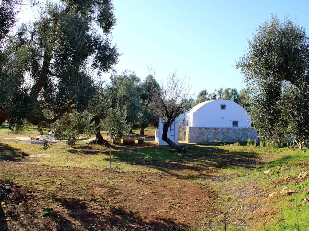 Rustico / casale a Carovigno - Foto 4
