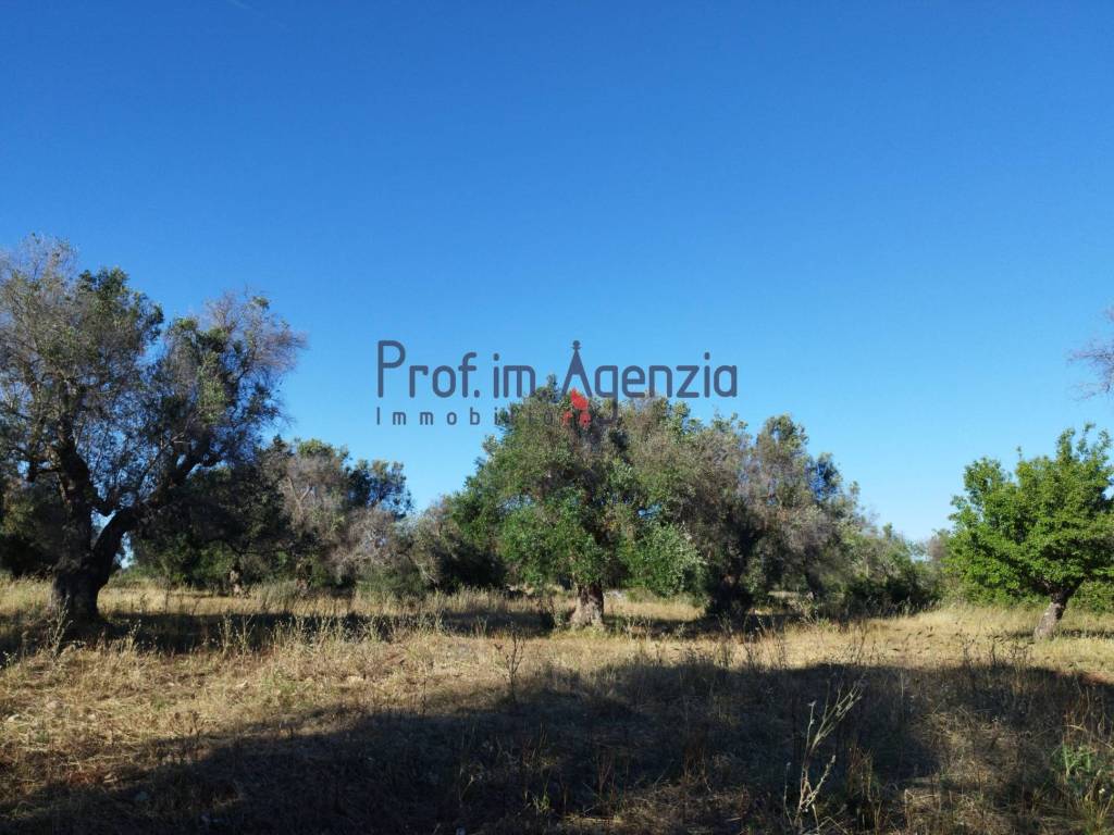 Terreno a Carovigno - Foto 4