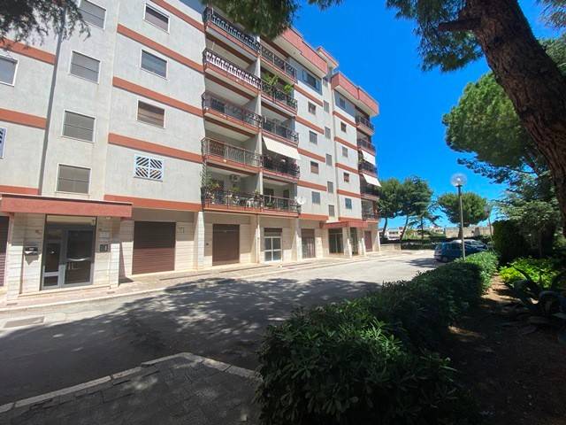 Appartamento a Bisceglie in Via Padre Massimiliano Kolbe - Foto 2