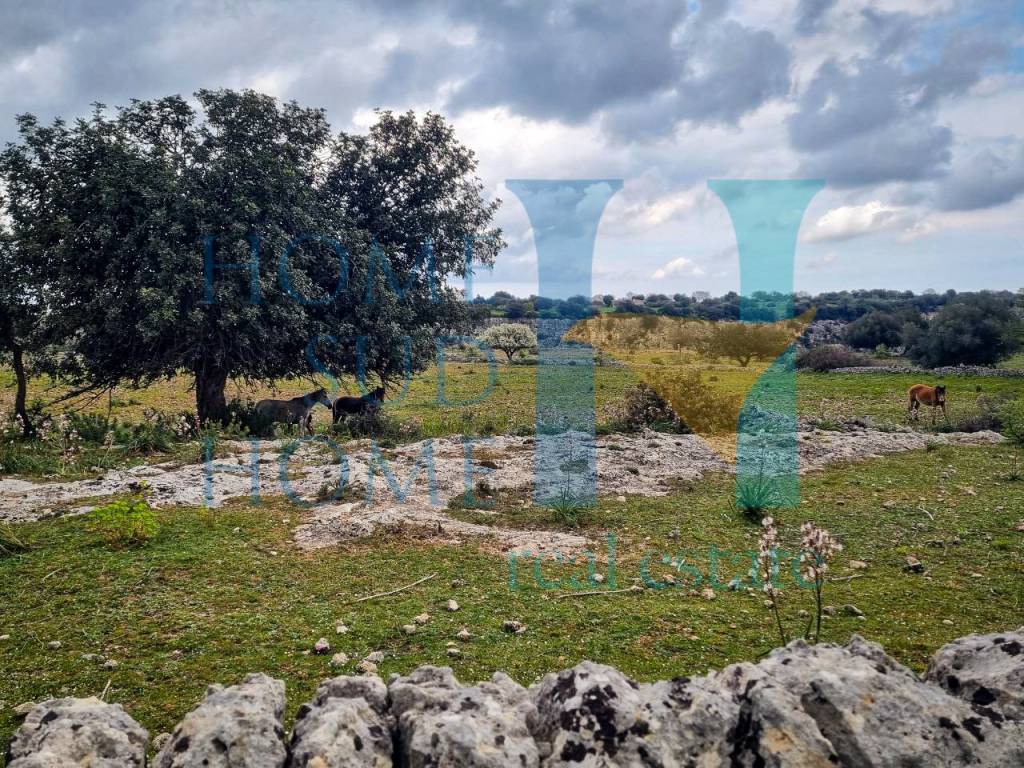 Villa a Noto in Via Tommaso Fazello, 228 - Foto 4