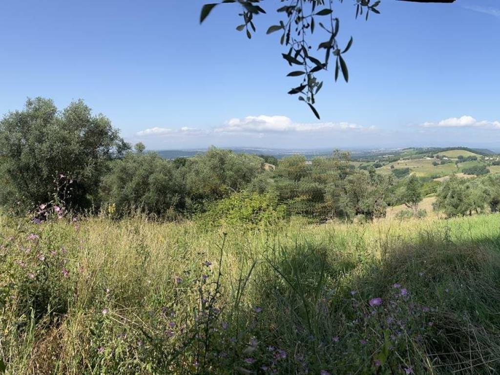 Terreno a Collevecchio in Via Colle Selva - Foto 2