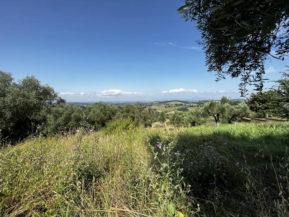 Terreno a Collevecchio in Via Colle Selva - Foto 3