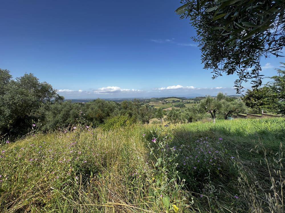 Terreno a Collevecchio in Via Colle Selva - Foto 4