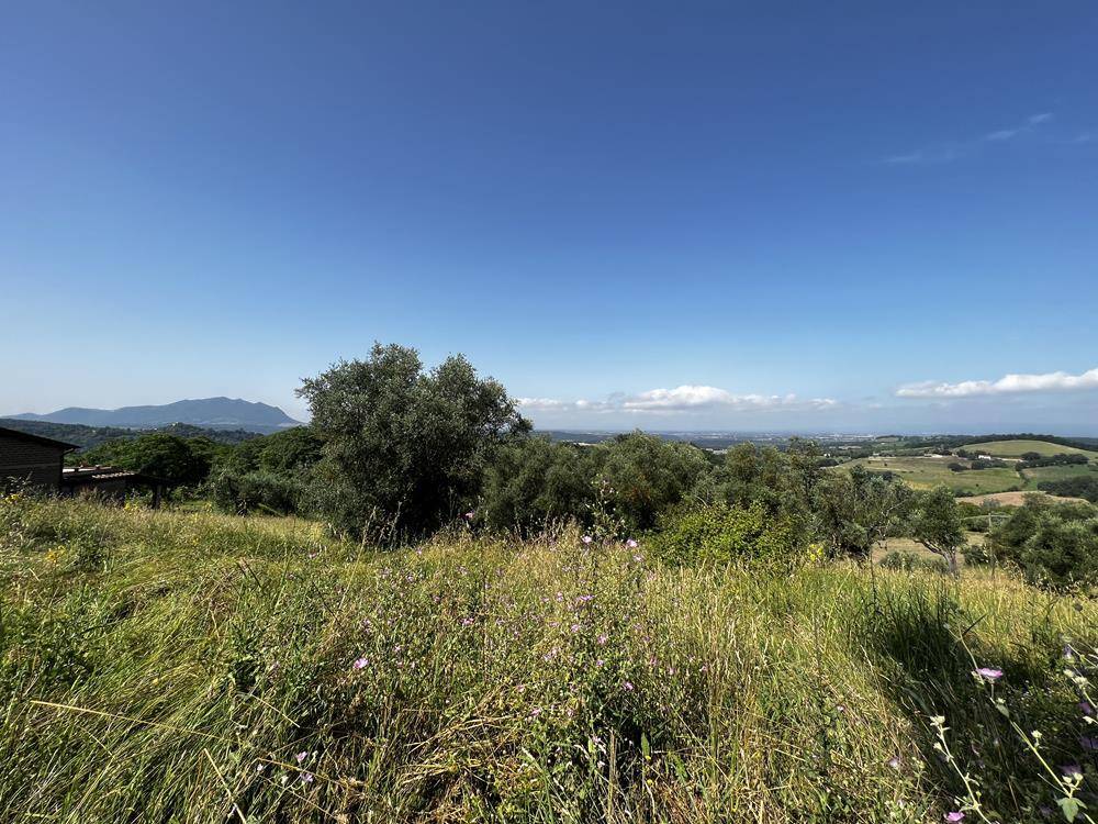 Terreno a Collevecchio in Via Colle Selva - Foto 5