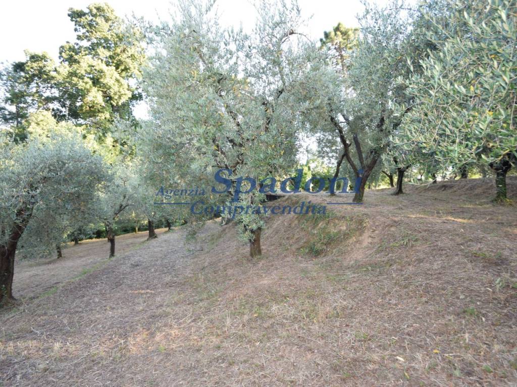 Terreno a Buggiano in Via Gamberaio - Foto 5