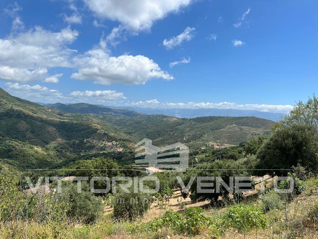 Terreno a Pollica in Contrada Citraniti - Foto 2