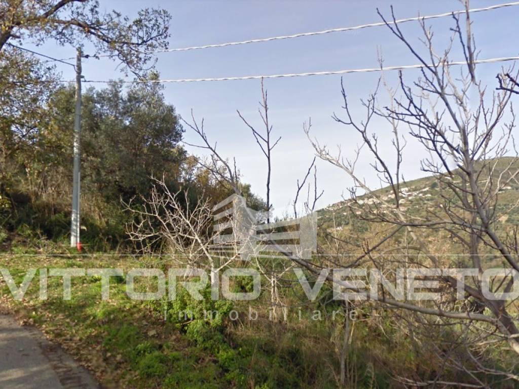 Terreno a Pollica in Contrada Citraniti - Foto 4