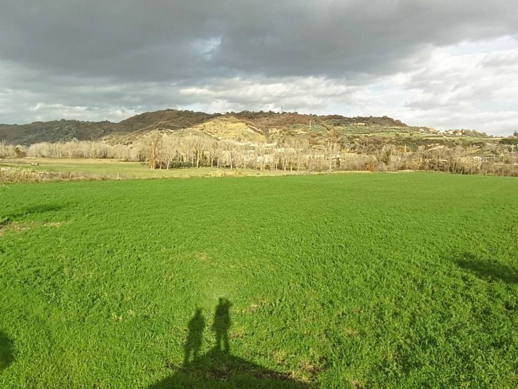 Terreno a Apice in Località Castiglione - Foto 4